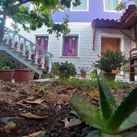 Guesthouse Hlias Gloria Berat Extérieur photo