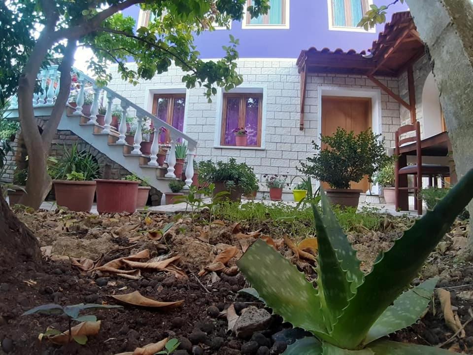 Guesthouse Hlias Gloria Berat Extérieur photo