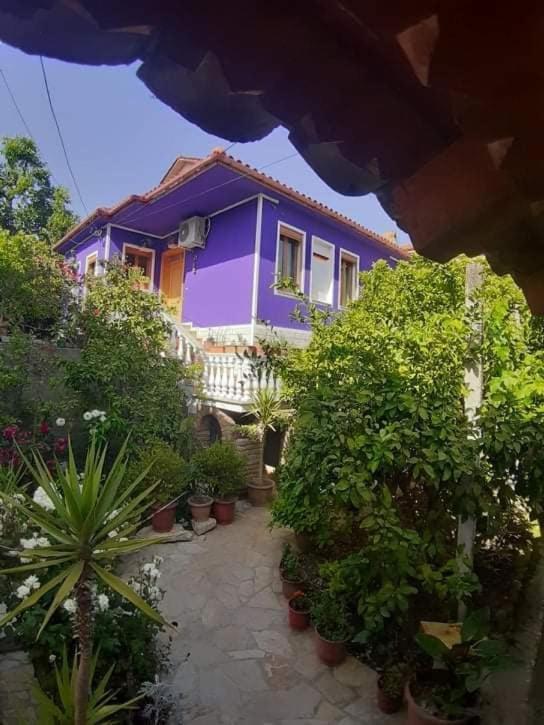 Guesthouse Hlias Gloria Berat Extérieur photo