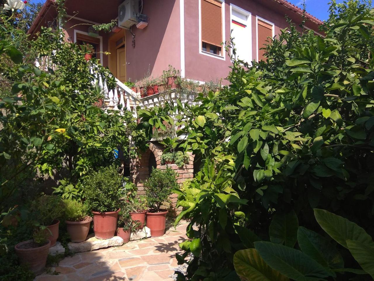Guesthouse Hlias Gloria Berat Extérieur photo