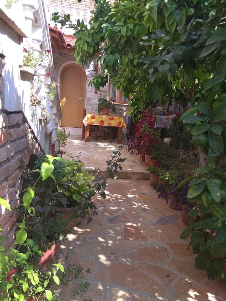 Guesthouse Hlias Gloria Berat Extérieur photo